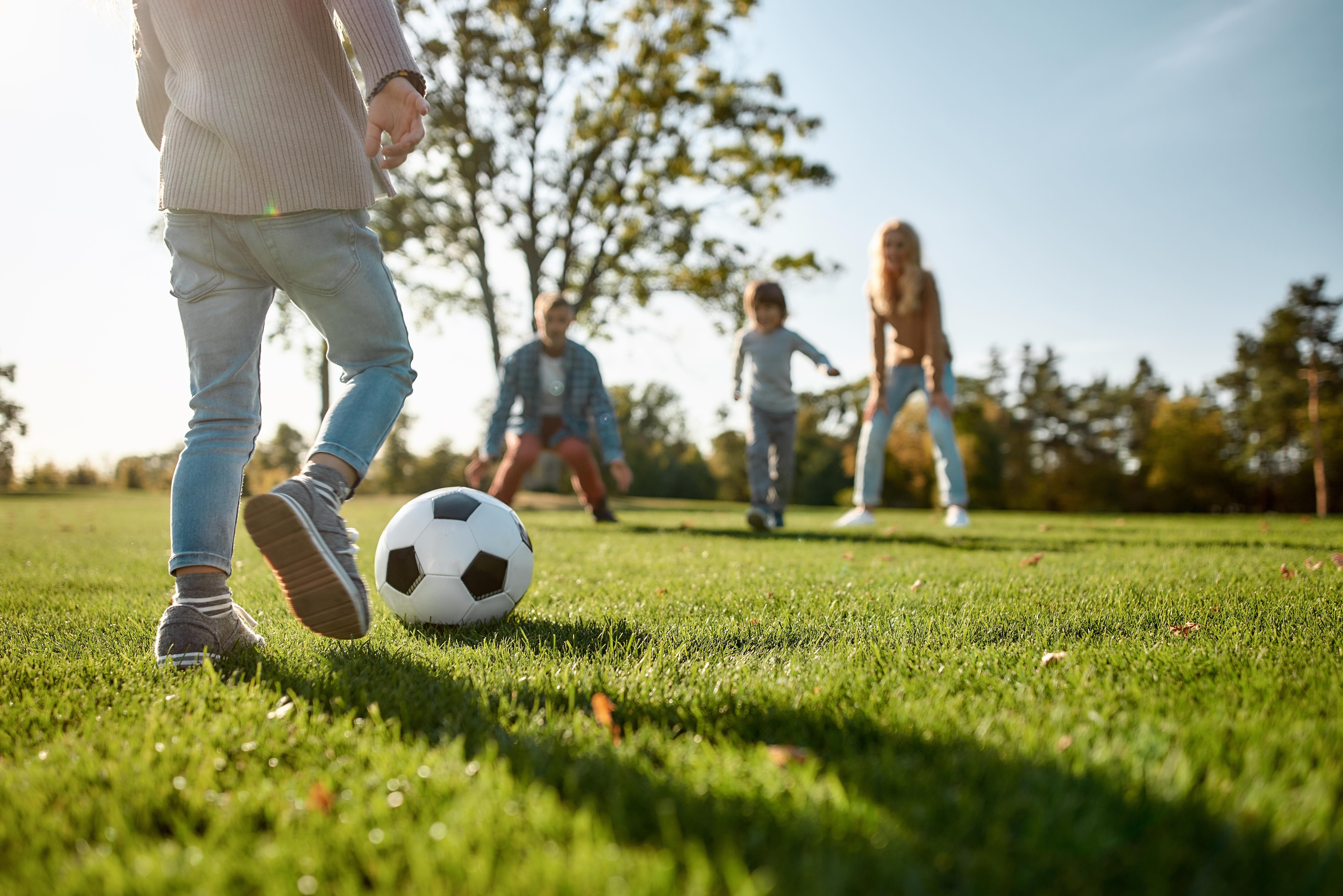 AdobeStock_322629003.jpg