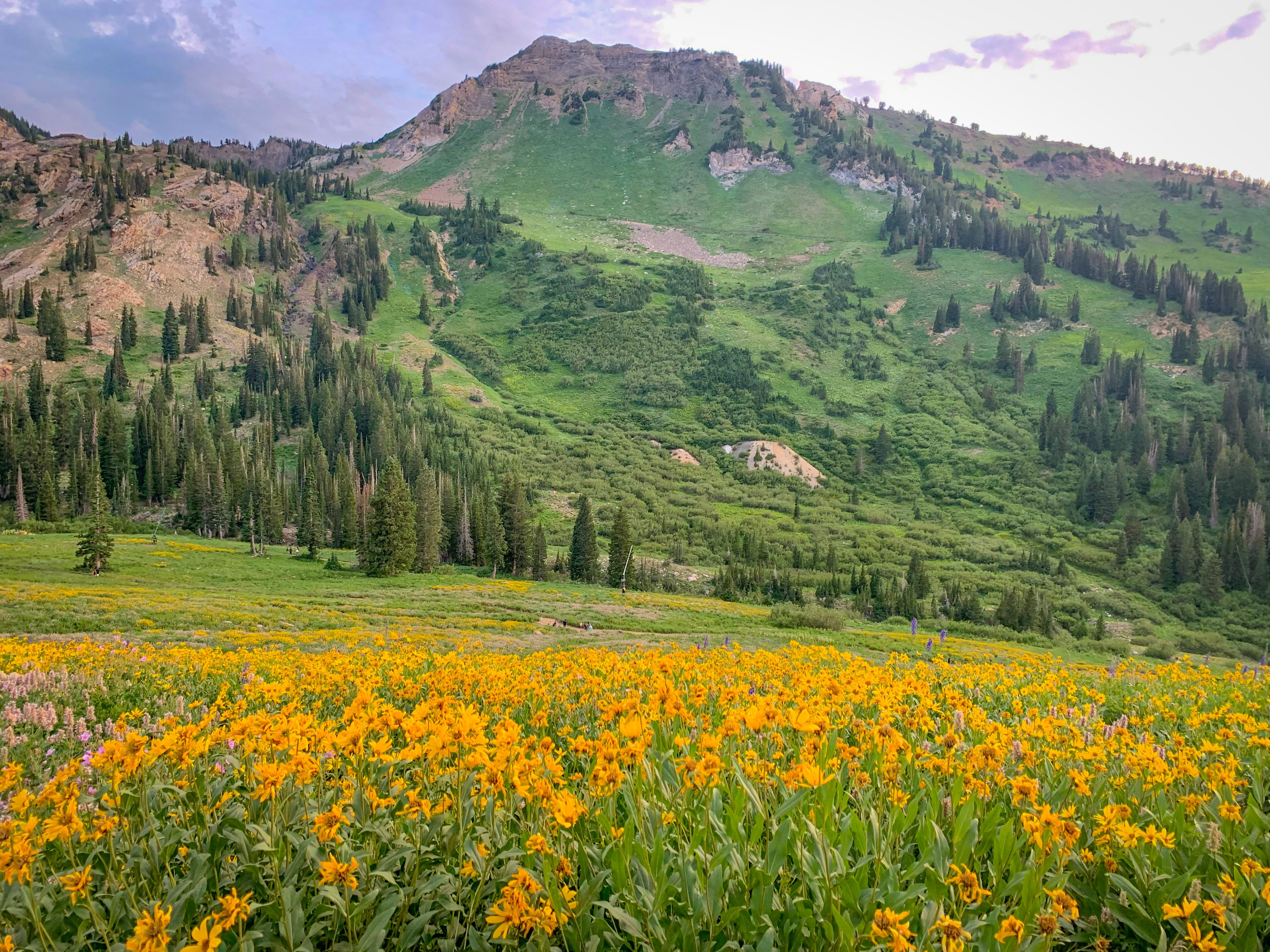 AdobeStock_446328468.jpg