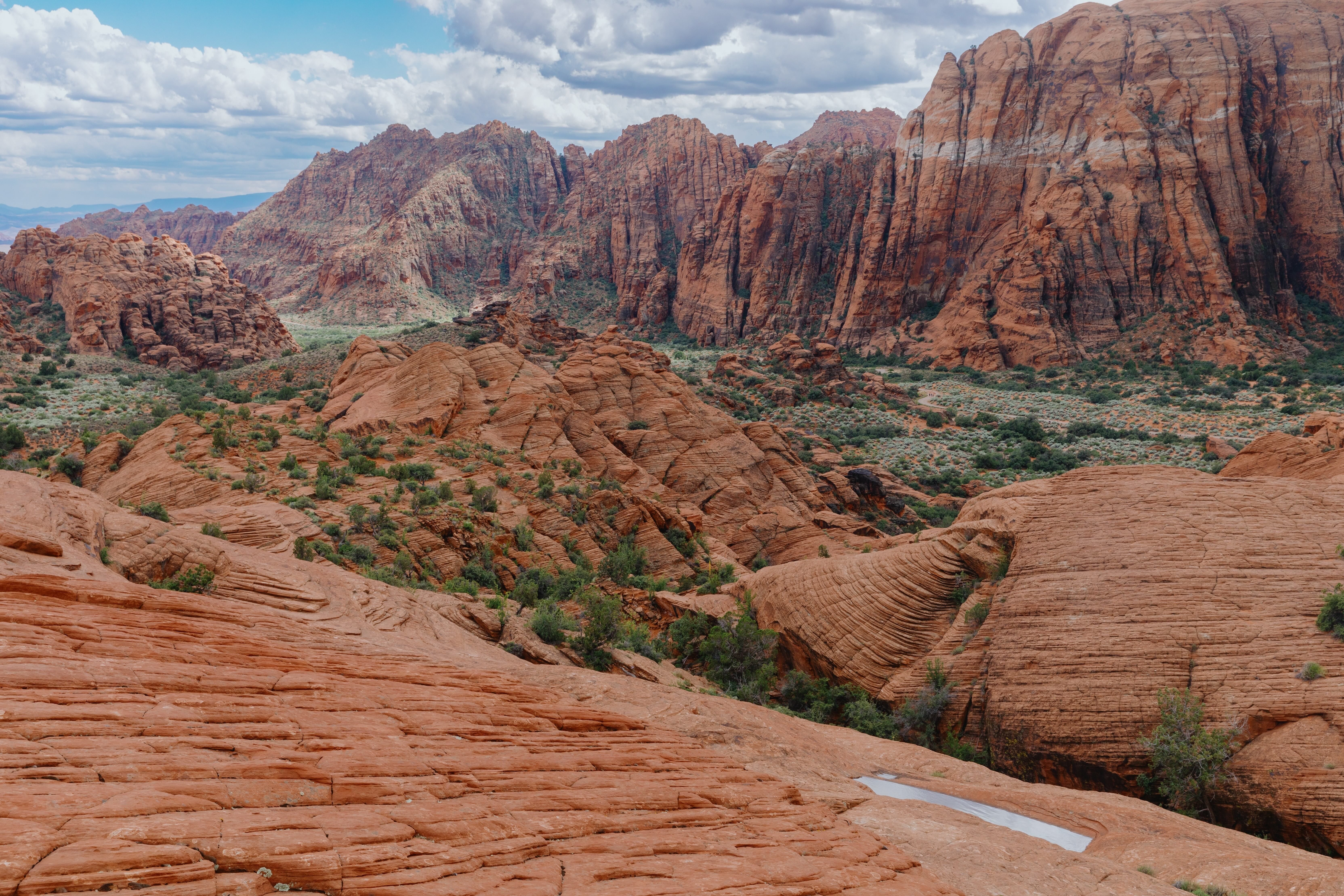 AdobeStock_874841138.jpg