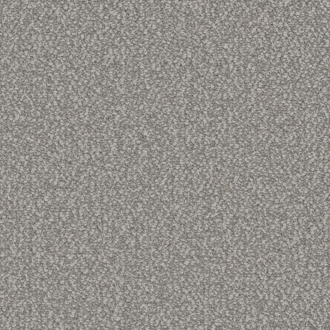 Carpet-1.jpg