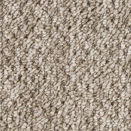Carpet-6.png