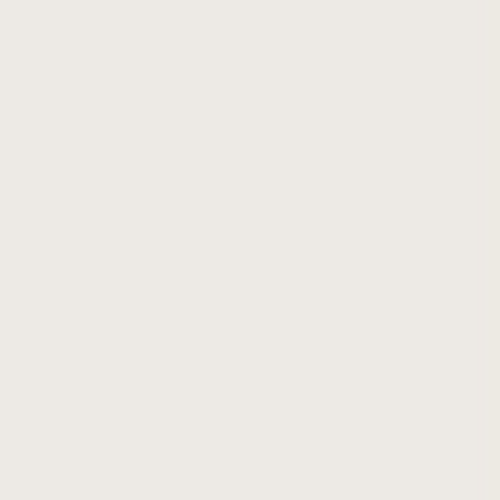 Wall Paint.png