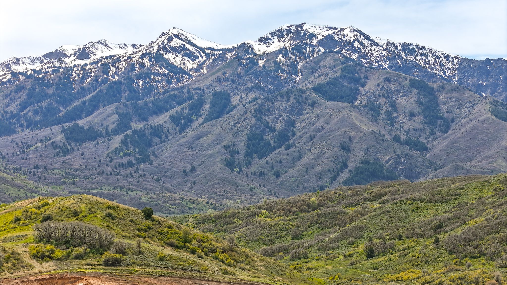 the range view-2.jpg