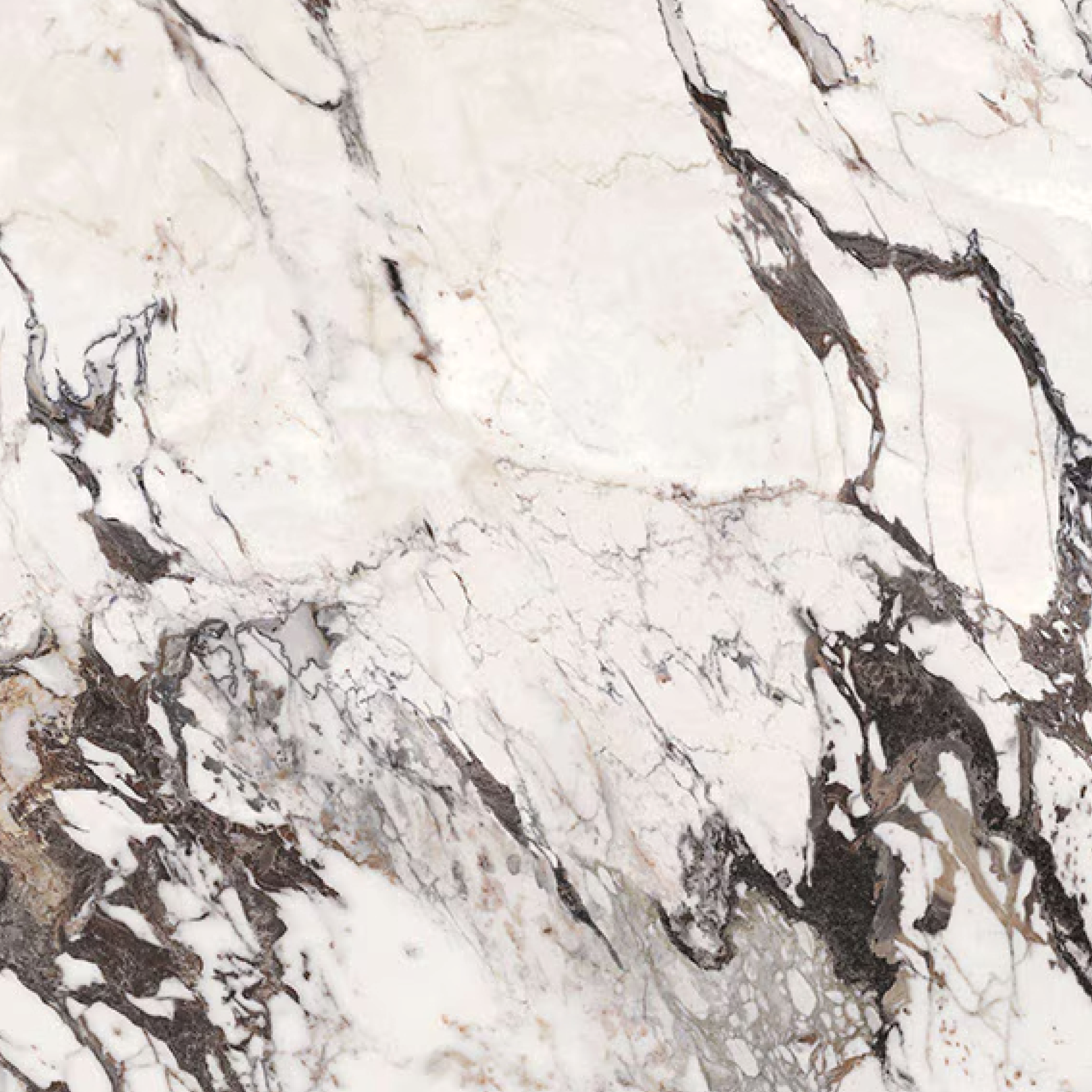 Daltile Panoramic Porcelain Calcatta Aries CM21