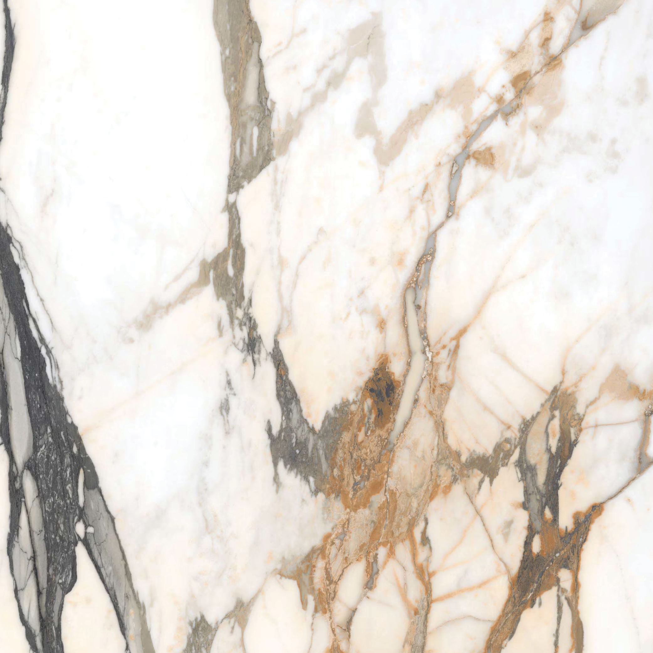 Daltile Panoramic Porcelain - Calcatta Topaz CM82