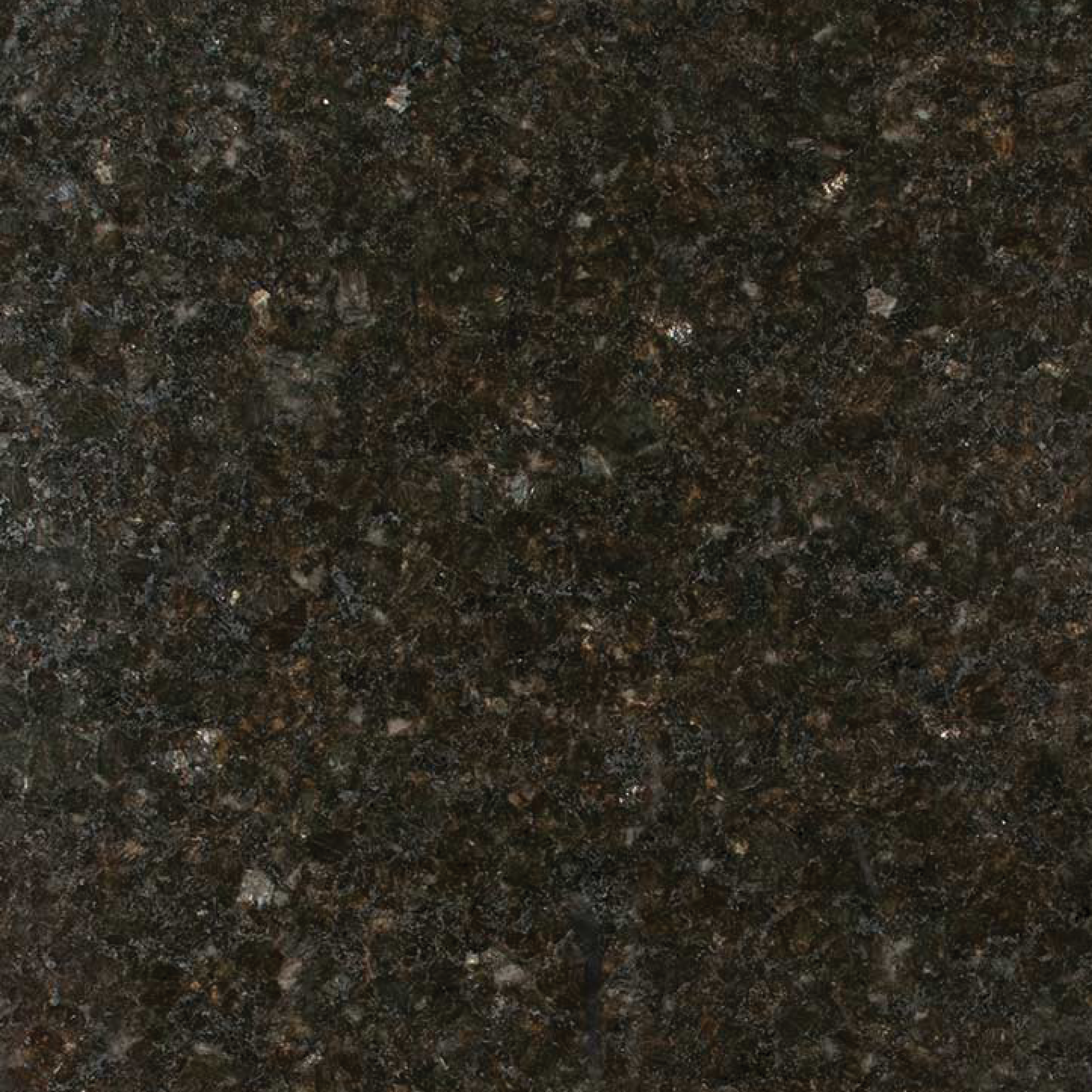 web images8-24.png